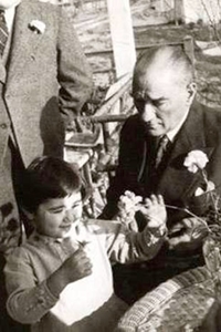 İçerik Resim Galerisi